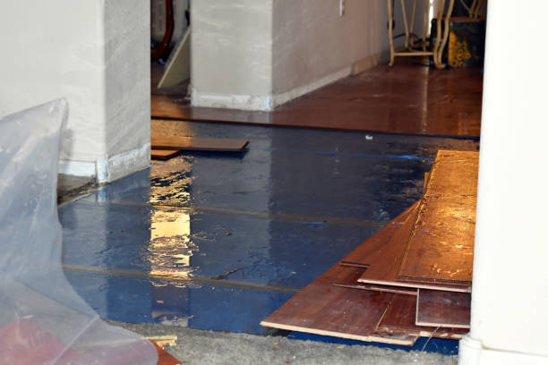 Professional Emergency Water Damage Restoration technician working in Thomasville, AL